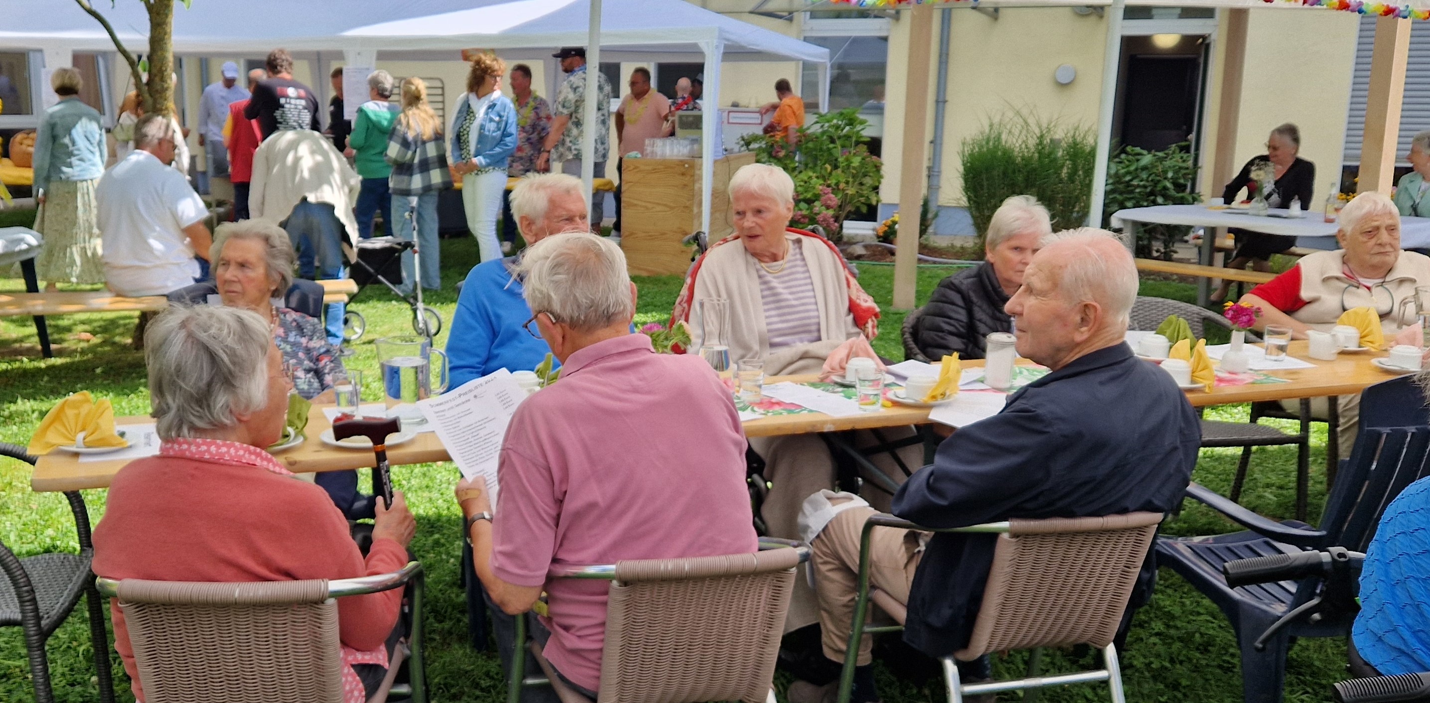 Sommerfest im Park (1)